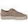 Paul Green 5017 beige 38