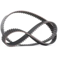 Continental Zahnriemen CT869