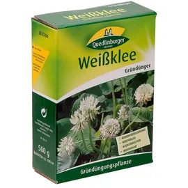 Quedlinburger Saatgut Quedlinburger 205506 Weißklee 500 g | Gründünger
