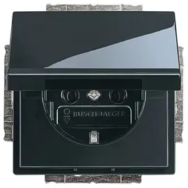 Busch-Jaeger Klappdeckelsteckdose 20 EUK-81 Schwarz 2 St.