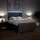 vidaXL Boxspringbett mit Matratze Taupe 140x200 cm Stoff