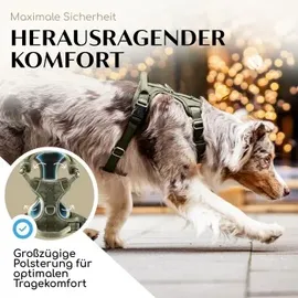 Freudentier Hundegeschirr Grün XS