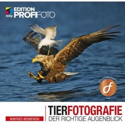 Tierfotografie