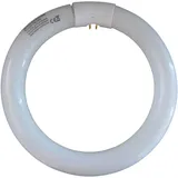CasaFan Ersatzröhre / Ersatzlampe FC32W/BL36 für Insektenfalle, zB.: Insectivoro Mo-El