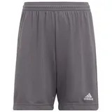 adidas Entrada 22 Sport-Shorts Grau 116