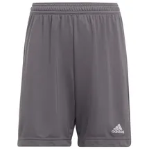 adidas Entrada 22 Sport-Shorts Grau 116