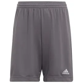 adidas Entrada 22 Sport-Shorts Grau 116