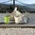Prosperplast Round Lofly 58.2x58.2x52.3 cm Blumentopf - White - One Size