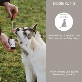 Wolfsbacher Natur Bio Schwarzkümmelöl kaltgepresst 100 ml