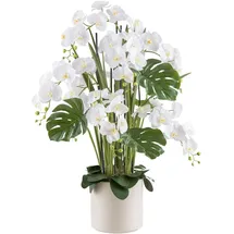 Creativ green Kunstorchidee Orchidee Phalaenopsis, Creativ green, Höhe 120 cm, mit Gräsern und Splitphilo-Blättern beige 120 cm