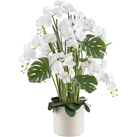 Creativ green Kunstorchidee Orchidee Phalaenopsis, Creativ green, Höhe 120 cm, mit Gräsern und Splitphilo-Blättern beige 120 cm