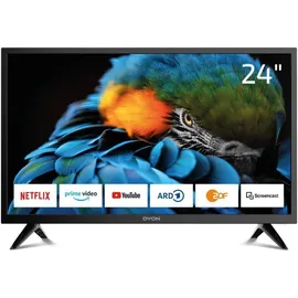 DYON Smart 24 XT 24 Zoll LED TV