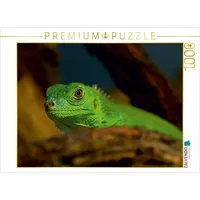 Calvendo Grüne Wasseragame Puzzle
