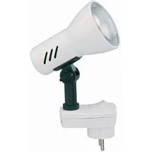 Briloner Fiche (2763016P) Weiß