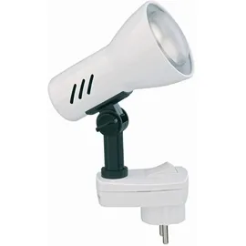 Briloner Fiche (2763016P) Weiß
