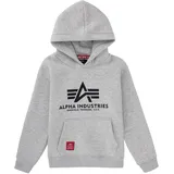Alpha Industries Basic Grey 170