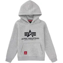 Alpha Industries Basic Grey 170