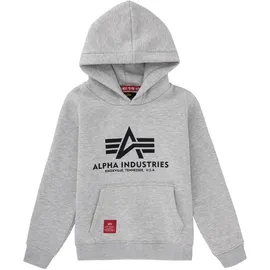 Alpha Industries Basic Grey 170