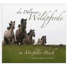 Schnell Verlag Die Dülmener Wildpferde im Merfelder Bruch