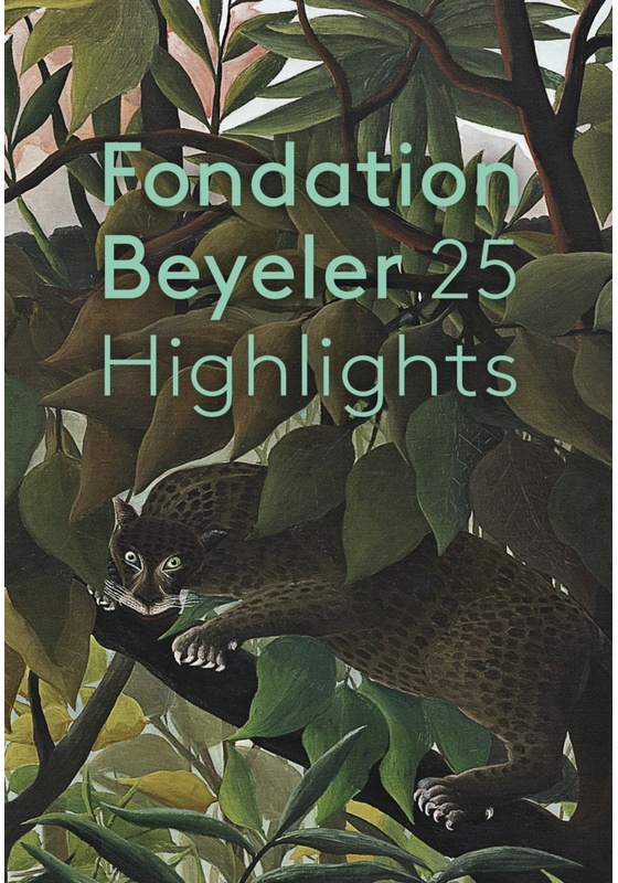 Fondation Beyeler  Kartoniert (TB)