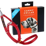 Canny Collar Hundehalfter – Anti-Zug Kopfgeschirr für Hunde | Stoppt Ziehen an der Leine sanft & effektiv | Trainingshilfe für entspannte Spaziergänge – Größe 6, Rot