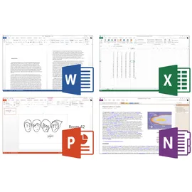 Microsoft Office 2013 Professional Plus ESD DE Win