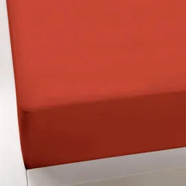 Bella Donna Jersey 90 x 190 - 100 x 220 cm jaffa