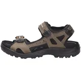 ECCO Offroad Herren tarmac/tarmac 49