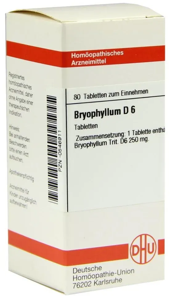 Bryophyllum D 6 Tabletten 80 St