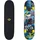 Donic Schildkröt Skateboard SLIDER 31 ́ blau