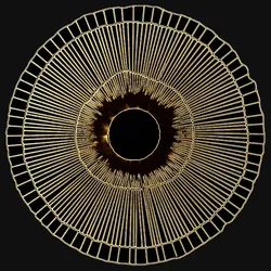 Leinwandbild LEONIQUE "Das Auge", gold (goldfarben), B:70cm H:70cm, Canvas, Holzrahmen, Bilder, Akustikbild mit sehr guten Schallabsorptions-Eigenschaften