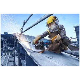 Bosch EXWS30-230PB für 230 mm