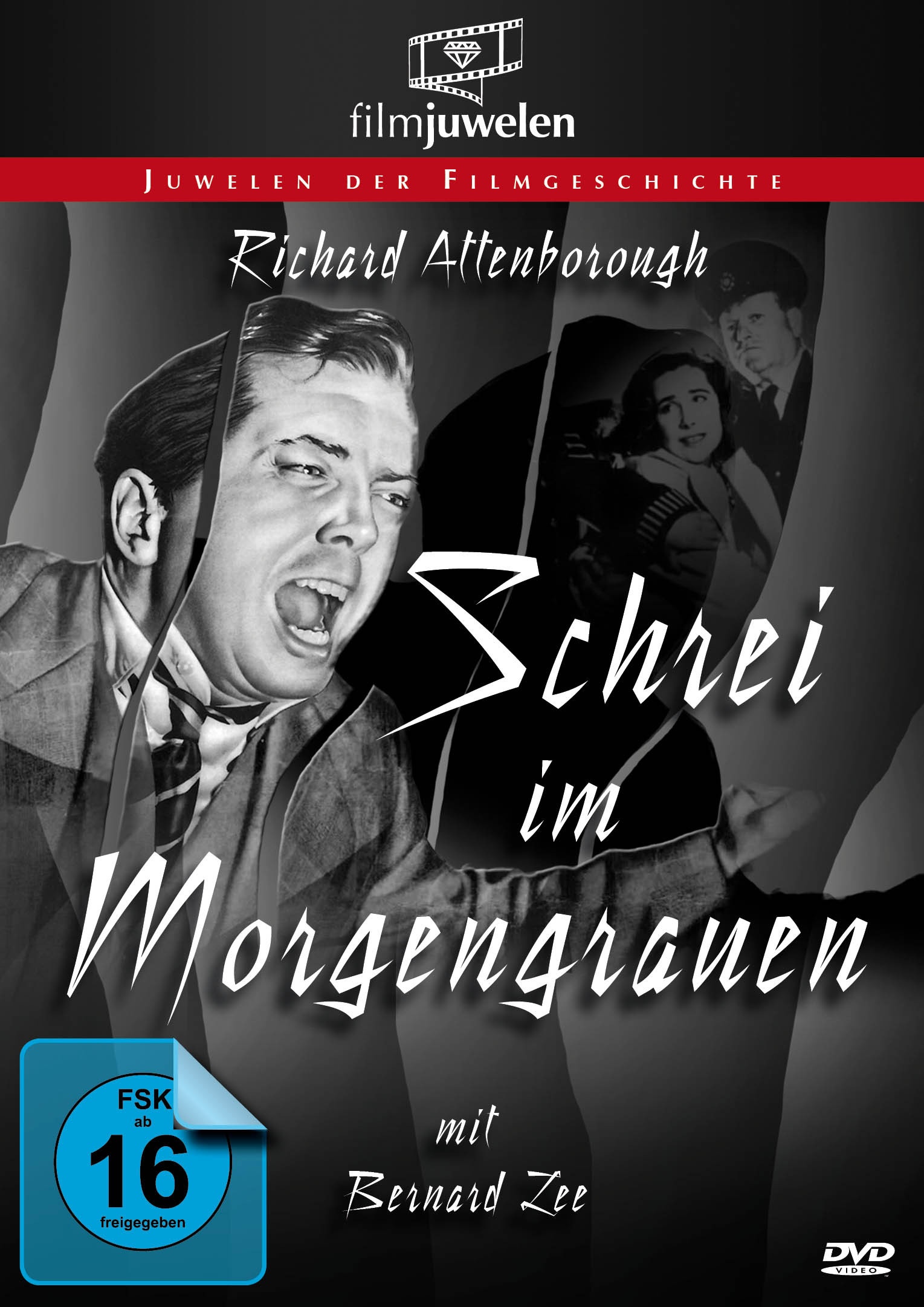 Schrei Im Morgengrauen (DVD)