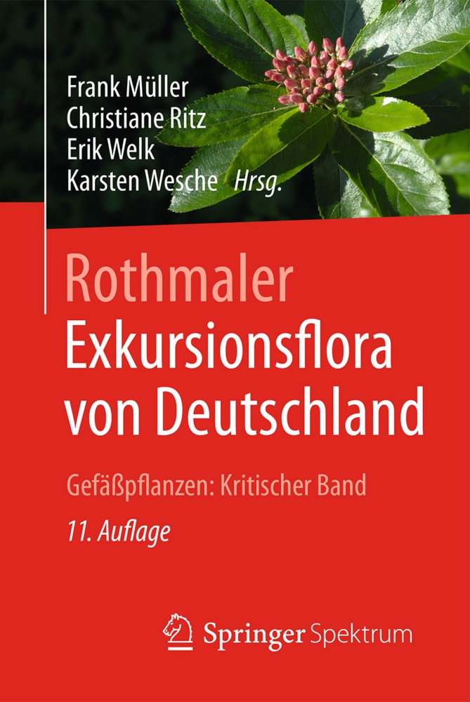 Gefäßpflanzen  Kritischer Band - Eckehart Johannes Jäger  Klaus Werner  Kartoniert (TB)
