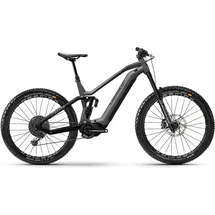 Haibike Nduro 8 2025 29 Zoll RH 44 cm titan/schwarz/chrome