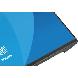 Iiyama ProLite X2491H-B1 24"