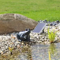 CLGarden Solar Wasserspeier Frosch NSP9 Springbrunnen für Teich mit Pumpe