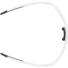 Alpina Sonic HR Q 3 Sportbrille (Größe One Size, weiss)