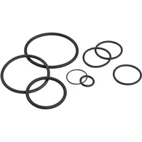 Grünbeck Dichtungssatz 108614 Rückspülfilter Schwarz