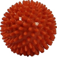 Rehaforum IGELBALL orange 6cm