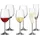 LEONARDO Daily Sektglas 0,12 l 6-tlg.