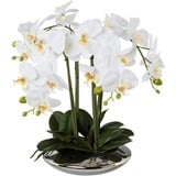 Creativ green Kunstorchidee Deko-Orchidee Phalaenopsis in Keramikschale weiß
