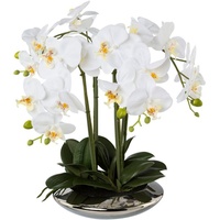Creativ green Kunstorchidee »Deko-Orchidee Phalaenopsis in Keramikschale«, weiß
