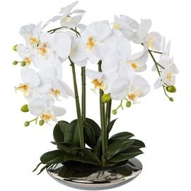 Creativ green Kunstorchidee »Deko-Orchidee Phalaenopsis in Keramikschale«, weiß
