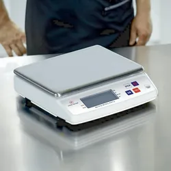 Louis Tellier - Waage, elektronisch, professionell -  5kg -  IP53 -  Genauigkeit 0,5g -  N3693