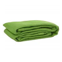 vidaXL Zeltteppich Hellgrün 300x500 cm HDPE
