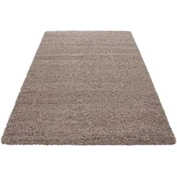 Hochflorteppich Life Beige Beige/Braun ca. 300x400cm