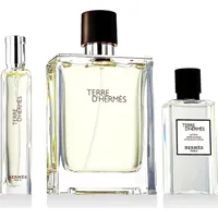 Hermès Terre D'Hermès EDT 100 ml + EDT 15