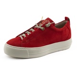 salsa 37,5