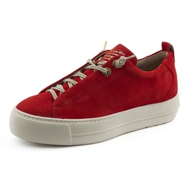 Paul Green 5017 salsa 37,5